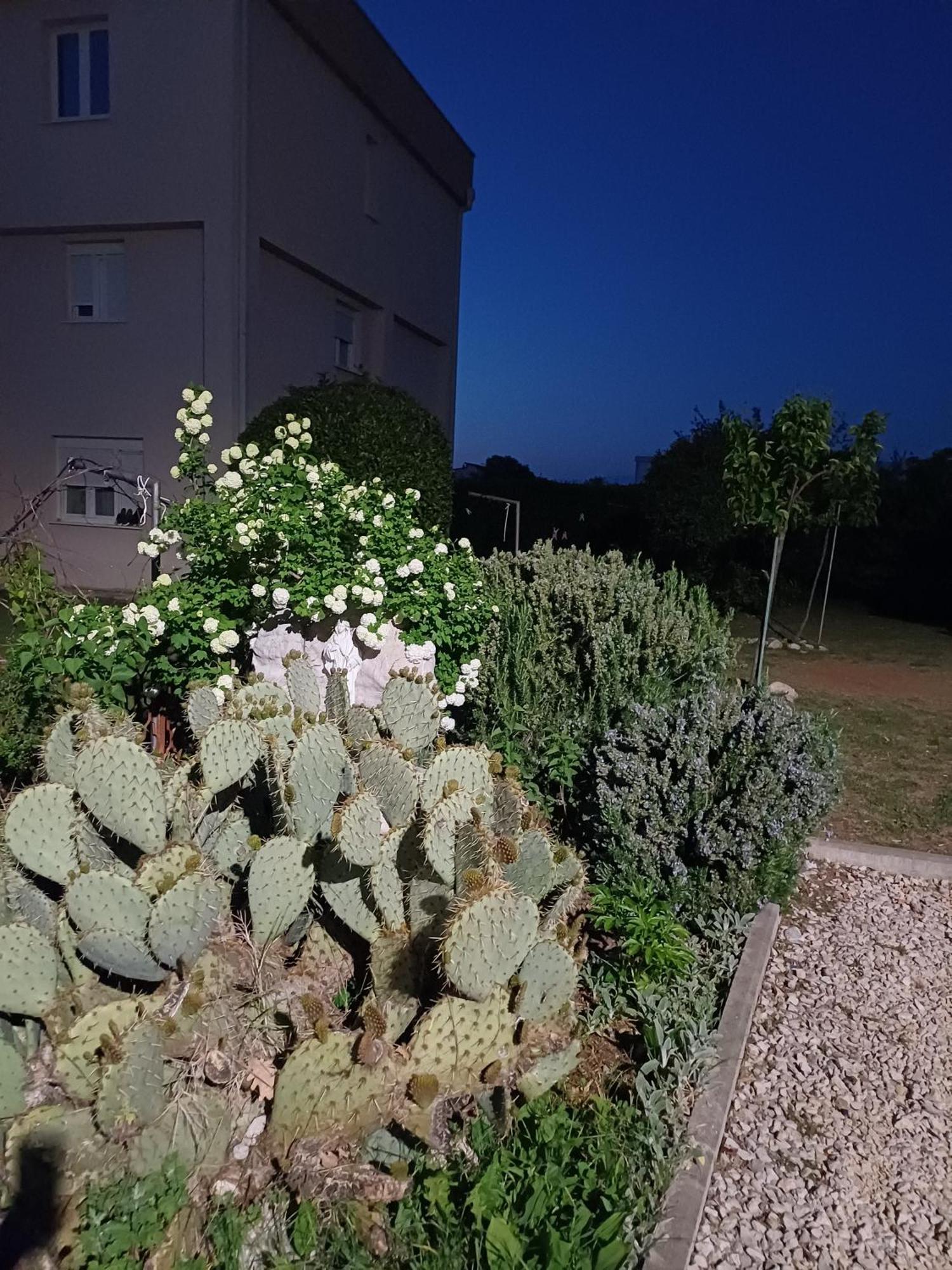 安娜别墅旅馆 Međugorje 外观 照片