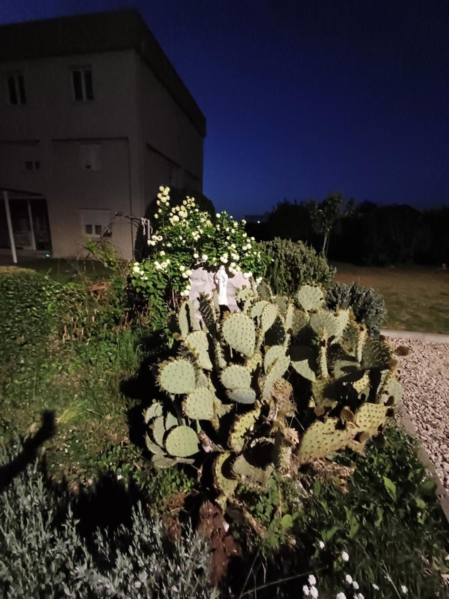 安娜别墅旅馆 Međugorje 外观 照片