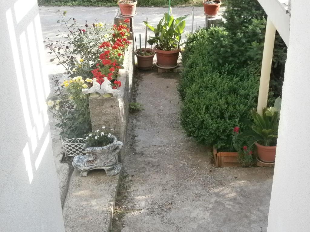 安娜别墅旅馆 Međugorje 外观 照片