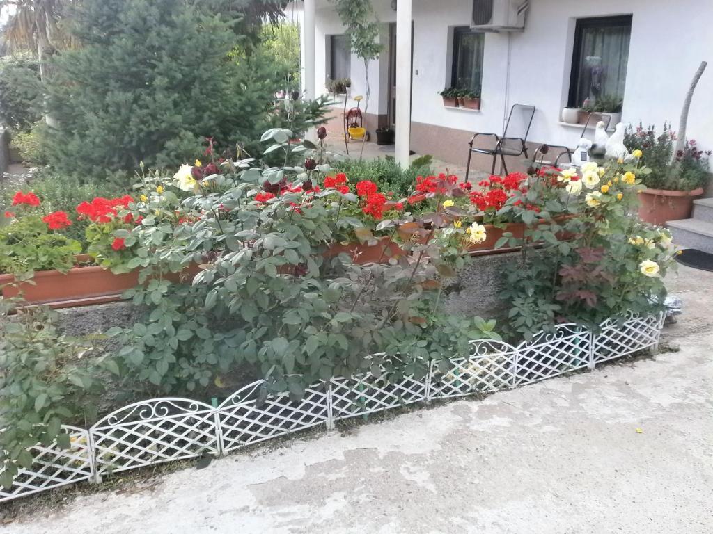 安娜别墅旅馆 Međugorje 外观 照片